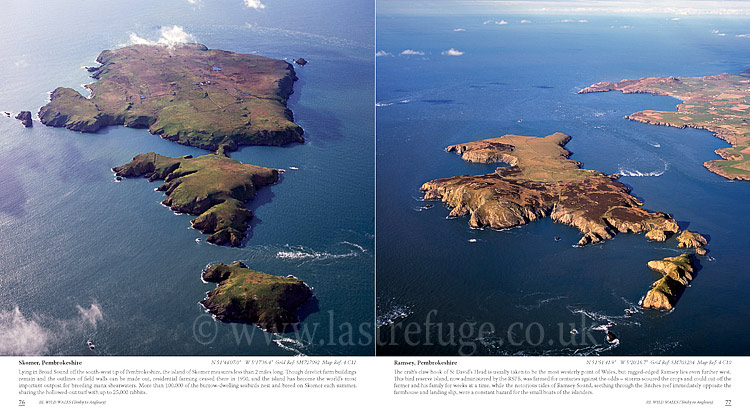 Aerial Coast of Wales:  Skomer, Ramsey
