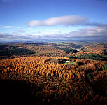 Aerial Image: Forest of Dean in Autumn, England, UK