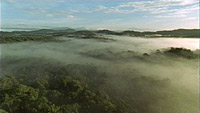 forest of tepuis, aerial film clip