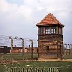 s_Auschwitz56