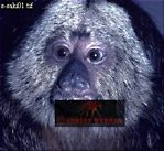 Preview of: 
monkeySUSA20.jpg 
280 x 259 compressed image 
(81,114 bytes)