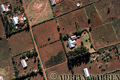 Ngong Hills, aerialafrica05.jpg 
340 x 227 compressed image 
(96,223 bytes)