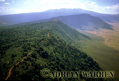 Ngorongoro Crater, aerialafrica27.jpg 
340 x 232 compressed image 
(70,784 bytes)