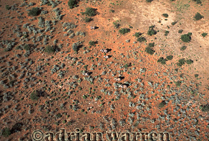 Ngorongoro, aerials of Africa, aerialafrica28.jpg 
340 x 227 compressed image 
(53,833 bytes)
