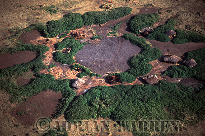 Masai, aerialafrica30.jpg 
340 x 226 compressed image 
(92,882 bytes)