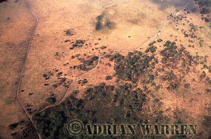 Ngorongoro Crater, aerialafrica32.jpg 
340 x 240 compressed image 
(95,963 bytes)