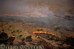Bush fire, Etosha National Park, African Aerials, Preview of: 
aerialafrica09.jpg 
320 x 215 compressed image 
(70,205 bytes)