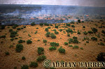 Bush fire, Etosha National Park, African Aerials, Preview of: 
aerialafrica10.jpg 
320 x 211 compressed image 
(71,658 bytes)