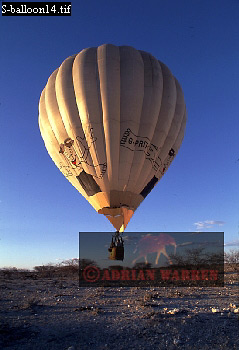 Ballooning, aerialballoon27.jpg 
239 x 350 compressed image 
(64,880 bytes)