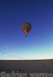 Balloon19