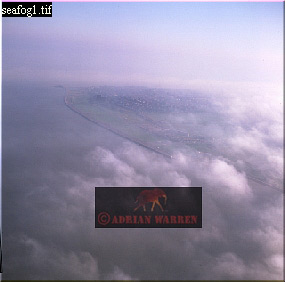 Sea Fog, aerials of uK, aerialEuro01.jpg 
285 x 282 compressed image 
(49,286 bytes)