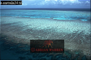 Great Barrier Reef, aerialEuro20.jpg 
320 x 209 compressed image 
(64,470 bytes)