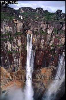 Angel Falls, aerialSUSA01.jpg 
229 x 345 compressed image 
(86,368 bytes)