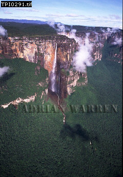 Angel Falls, Aerials of South America, aerialSUSA03.jpg 
240 x 345 compressed image 
(79,743 bytes)