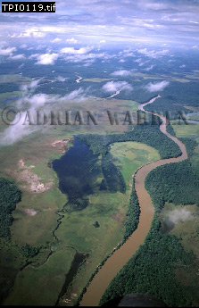 Gran Sabana, aerialSUSA05.jpg 
223 x 345 compressed image 
(69,947 bytes)