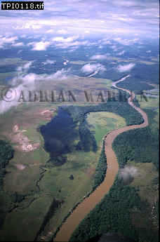 Gran Sabana, aerialSUSA06.jpg 
228 x 345 compressed image 
(73,319 bytes)