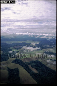 Gran Sabana, Aerials of South America, aerialSUSA07.jpg 
229 x 345 compressed image 
(60,583 bytes)