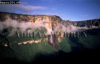 Angel Falls, Aerials of South America, aerialSUSA10.jpg 
345 x 222 compressed image 
(57,980 bytes)