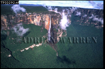 Angel Falls, Aerials of South America, aerialSUSA11.jpg 
345 x 229 compressed image 
(78,755 bytes)
