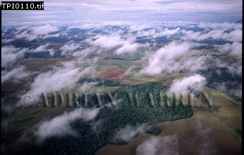 Gran Sabana, aerialSUSA12.jpg 
345 x 219 compressed image 
(64,628 bytes)