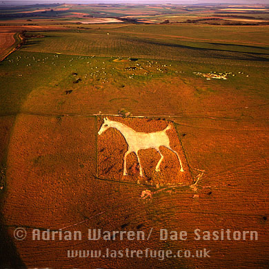 Aerial image of The Alton Barnes White Horse, Alton Barnes, Wiltshire