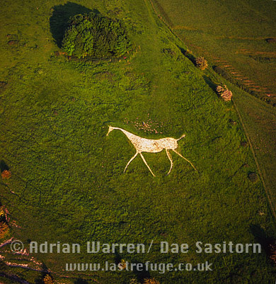 Aerial photo of Broad Hinton White Horse (The Hackpen or Winterbourne Basset White Horse), Wiltshire, England