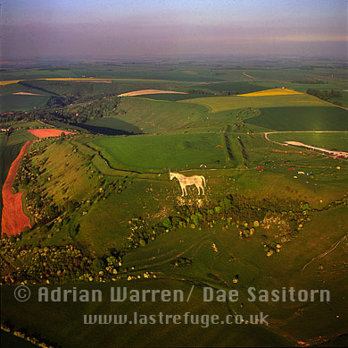 Westbury White Horse and Hill Fort, Tenantry Down