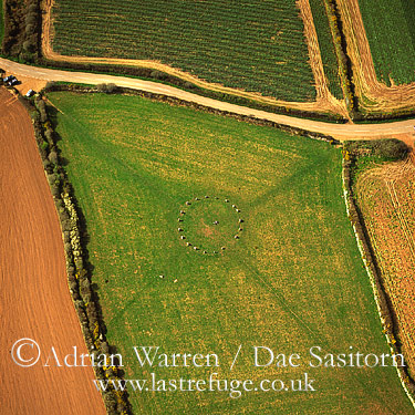 Aerial photo of Merry Maidens Stone Circle, Cornwall, England