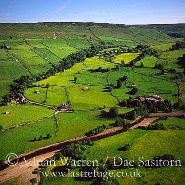 AW_Yorkshire_dales22