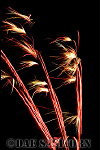 AW_fireworks14