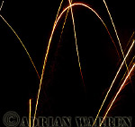 AW_fireworks42