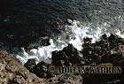 AW_Galapagos24
