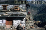 a-JWnepal8 : Typical House, north of Ghorepani, Nepal