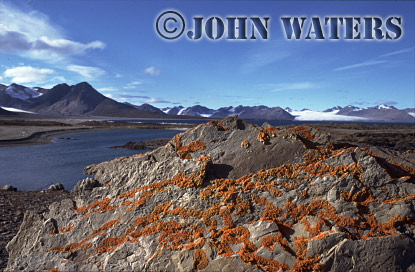 JWsvalbard81 : Van Keulen Fjord, Summer, Svalbard, Norway