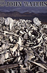 JWsvalbard14 : Aftermath of Beluga Whaling Camp (abandoned 1940), Svalbard, Norway