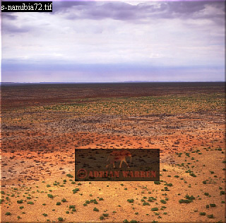 landscAfrica09.jpg 
320 x 315 compressed image 
(98,382 bytes)