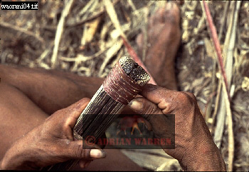 Waorani Indian, Ecuadaor,  tribe_SUSA03.jpg 
350 x 241 compressed image 
(81,581 bytes)