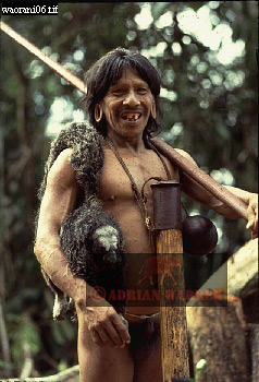 Waorani Indian, Ecuadaor,  tribe_SUSA07.jpg 
238 x 350 compressed image 
(82,425 bytes)