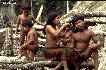 Waorani Indian, Ecuadaor,  tribe_SUSA17.jpg 
350 x 234 compressed image 
(100,189 bytes)