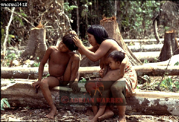 Waorani Indian, Ecuadaor,  tribe_SUSA18.jpg 
350 x 239 compressed image 
(103,672 bytes)