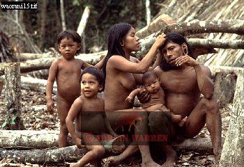 Waorani Indian, Ecuadaor,  tribe_SUSA19.jpg 
350 x 240 compressed image 
(97,777 bytes)