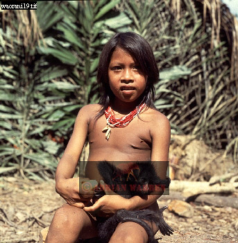 Waorani Indian, Ecuadaor,  tribe_SUSA22.jpg 
343 x 350 compressed image 
(124,101 bytes)