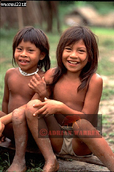 Waorani Indian, Ecuadaor,  tribe_SUSA23.jpg 
231 x 350 compressed image 
(76,290 bytes)