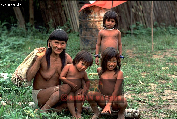 Waorani Indian, Ecuadaor,  tribe_SUSA24.jpg 
350 x 236 compressed image 
(97,306 bytes)