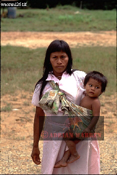 Waorani Indian, Ecuadaor,  tribe_SUSA27.jpg 
234 x 350 compressed image 
(77,936 bytes)