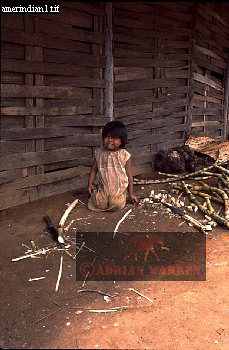 Camaracotto Indian, tribe_SUSA32.jpg 
229 x 350 compressed image 
(84,817 bytes)