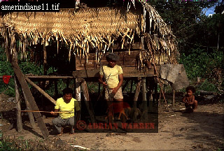 Amerindian, tribeSUSA41.jpg 
320 x 216 compressed image 
(87,787 bytes)
