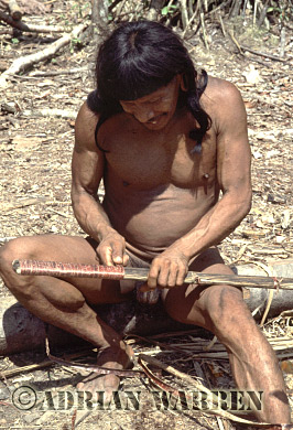 AW_Waorani62, Waorani Indians : Caempaede making Blowgun, rio Cononaco, Ecuador, 1983