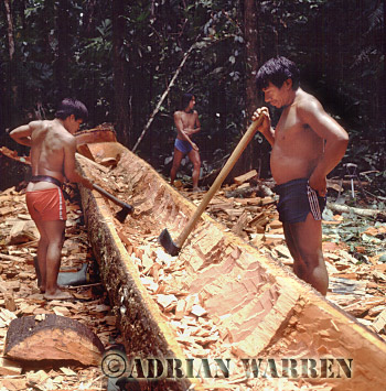 AW_Waorani32, Waorani Indians : dug-out Canoe making, rio Cononaco, Ecuador, 1983