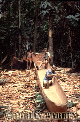 AW_Waorani33, Waorani Indians : dug-out Canoe making, rio Cononaco, Ecuador, 1983